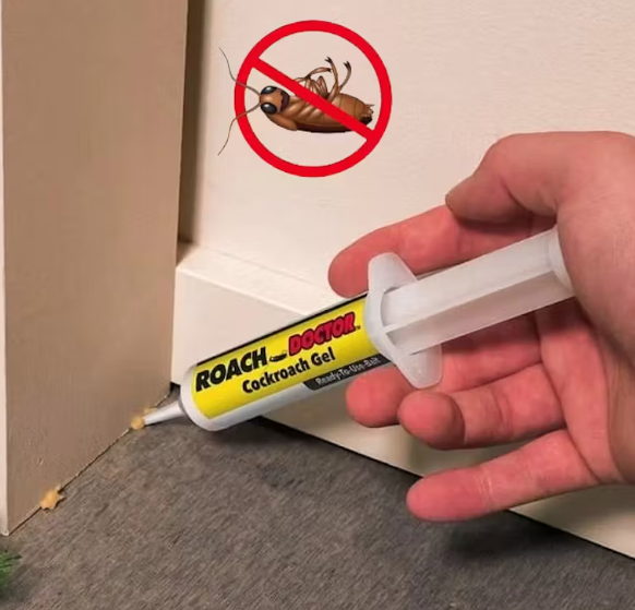 Roach Expert Cockroach Gel Bait 30g